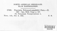 Puccinia polygoni-amphibii image